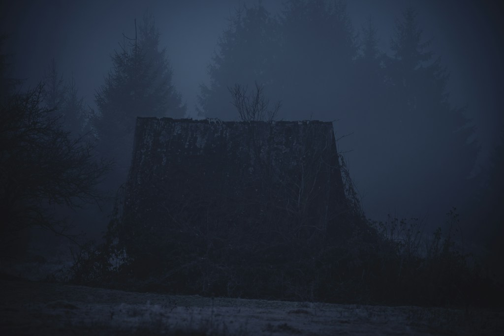 Shadow's Whisper