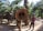 An elephant prominently displays its trunk towards the camera, with a person standing beside it. In the background, other elephants can be seen carrying riders under a sunny, forested environment with palm trees.
