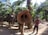 An elephant prominently displays its trunk towards the camera, with a person standing beside it. In the background, other elephants can be seen carrying riders under a sunny, forested environment with palm trees.