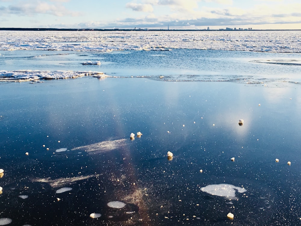 panoramic photo of body of water with snow during daytime