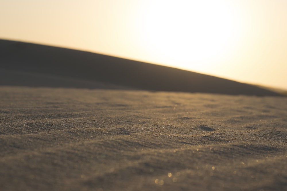 focus photography of sand