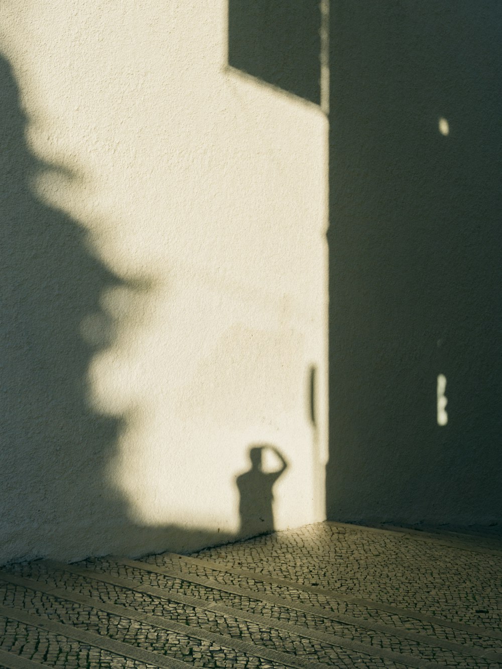 a shadow of a person standing next to a building