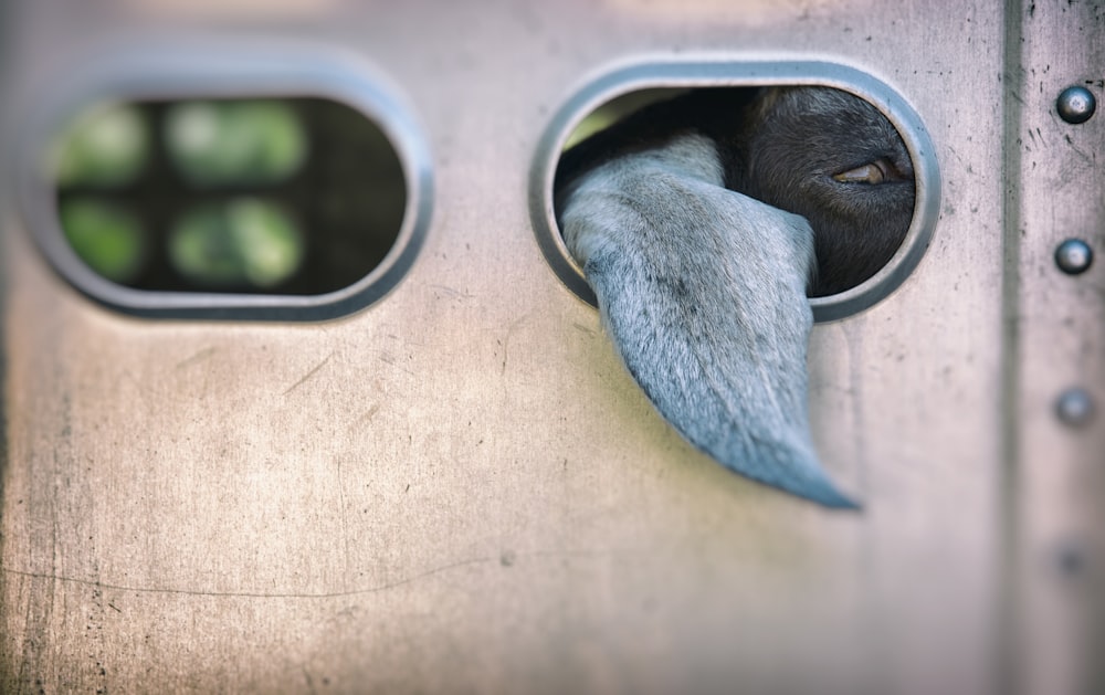 a close up of a metal door with a cloth on it