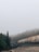 A freight train with colorful graffiti on its cars travels through a foggy forest landscape. Tall evergreen trees border the tracks, and the overcast sky creates a misty atmosphere. The scene is tranquil and slightly mysterious, with the train disappearing into the haze in the background.