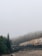 A freight train with colorful graffiti on its cars travels through a foggy forest landscape. Tall evergreen trees border the tracks, and the overcast sky creates a misty atmosphere. The scene is tranquil and slightly mysterious, with the train disappearing into the haze in the background.
