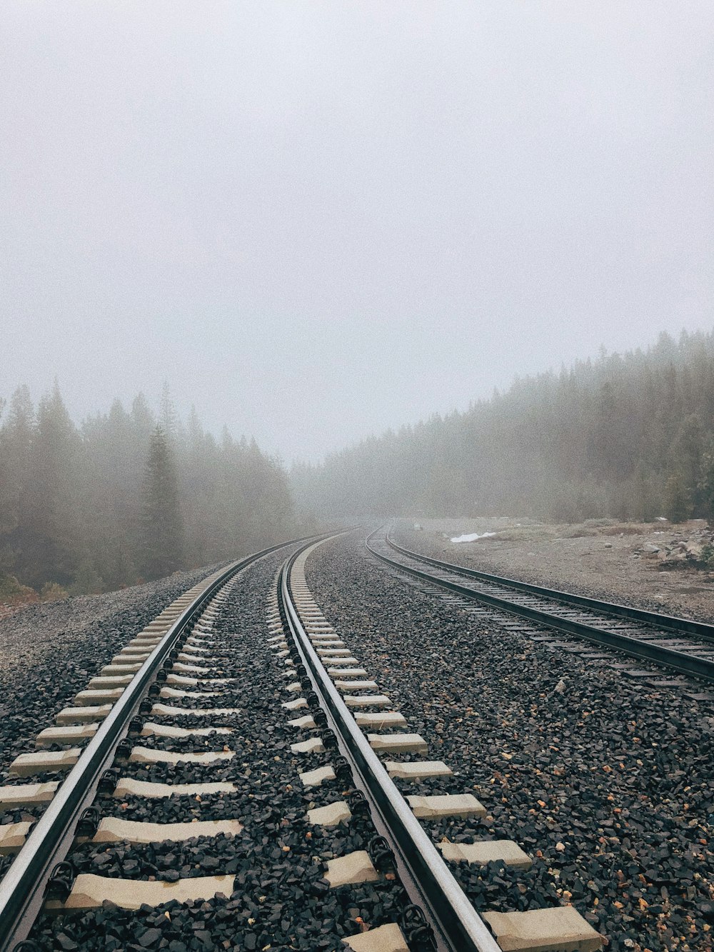 brown and black train track in between trees phtoography