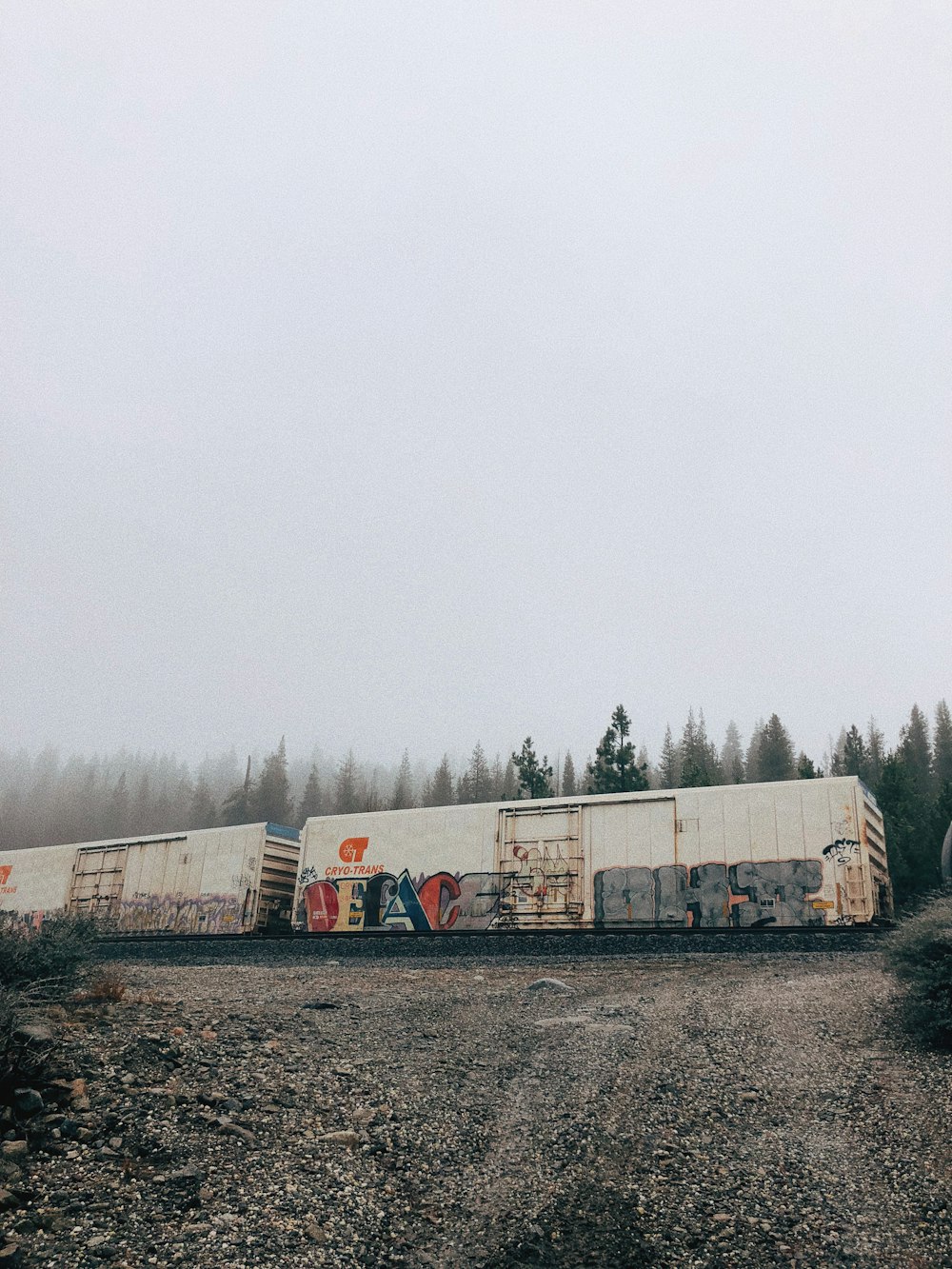 white and black train cars with graffiti