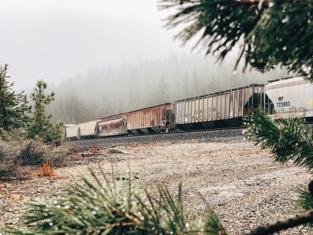 森の中の鉄道の白と茶色の列車