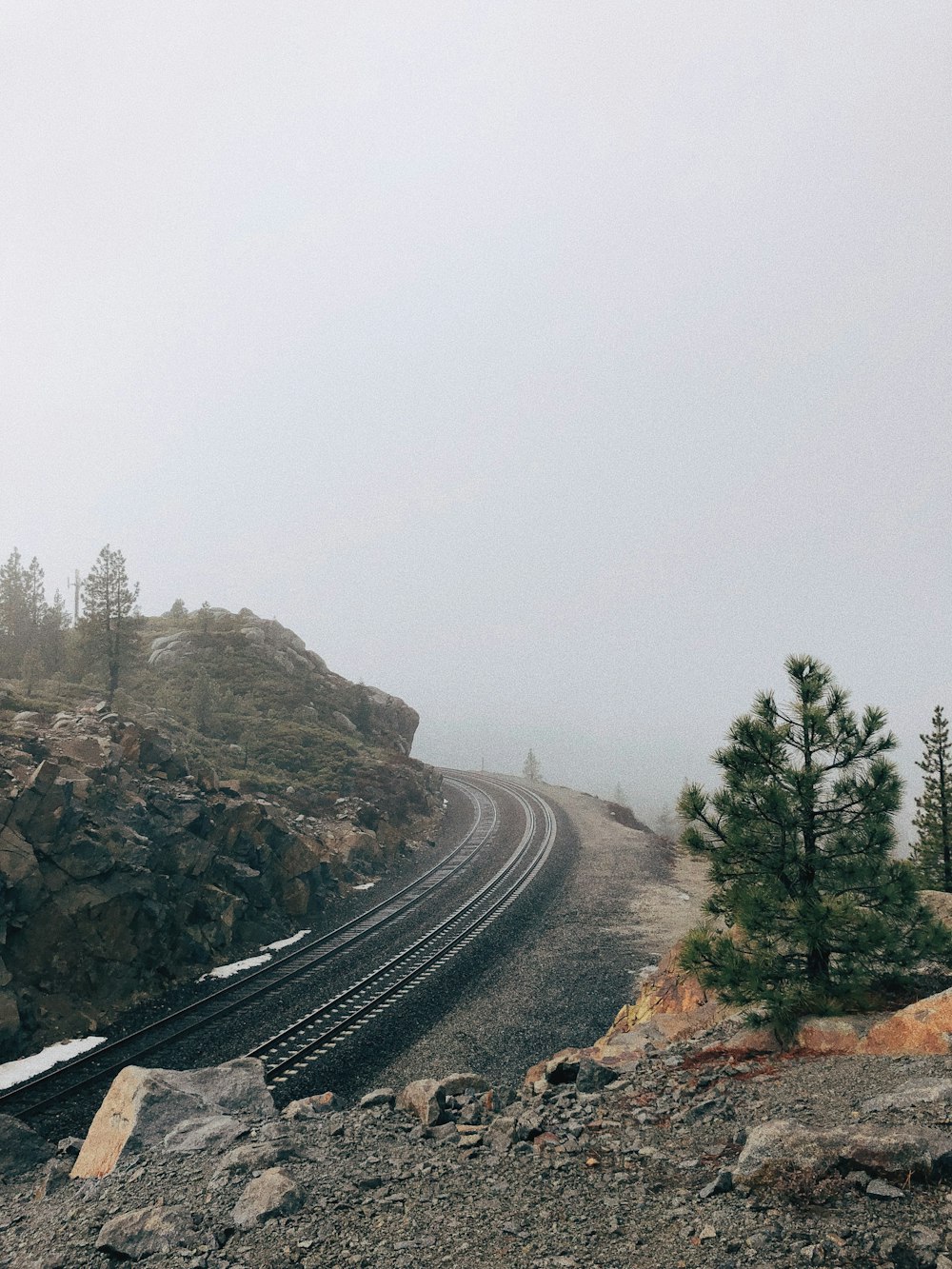 gray railroad near tree during daytime