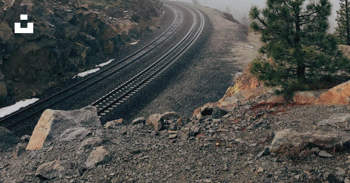 Gray railroad near tree during daytime photo – Free Grey Image on Unsplash