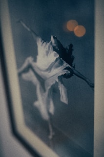A blurred, artistic photograph of a dancer in mid-air, wearing a flowing dress. The image has a vintage feel with muted colors, and there are out-of-focus lights in the background.