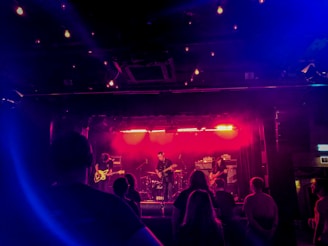 A band performs on a dimly lit stage with vibrant pink and blue lights creating a moody atmosphere. Several people in the audience are visible in the foreground, silhouetted by the lighting.