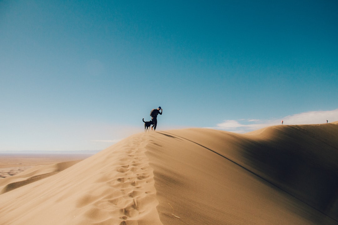 silhouette photo of person and dog on desert mountain