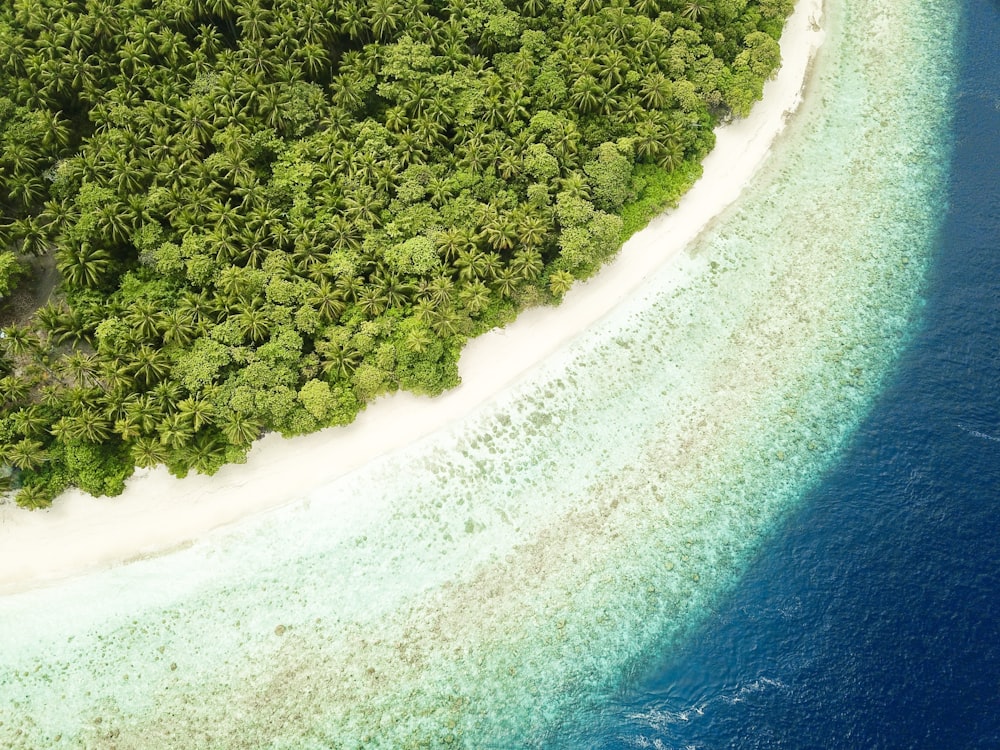 bird's-eye view photography of islet