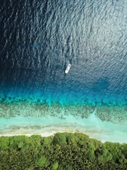 white motorboat at daytime