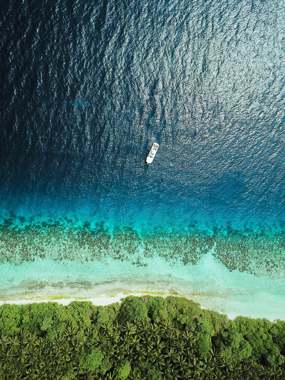 Bateau à moteur blanc de jour