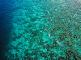 Happy travelers snorkeling near a vibrant coral reef during the 3D2N itinerary