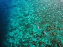 The three kids laughing and pointing at a colorful coral reef underwater.