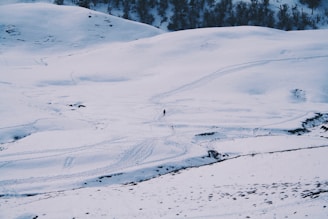 person on snow field