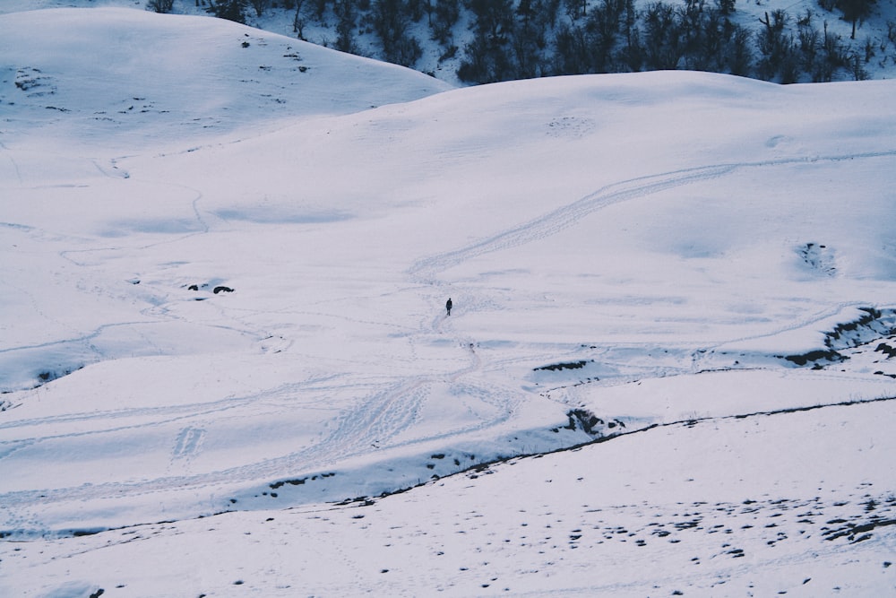 Persona en un campo de nieve