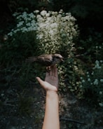 An outstretched hand is holding a small bird, set against a background of greenery and some white flowers. The focus is on the bird and hand, while the background is blurred.