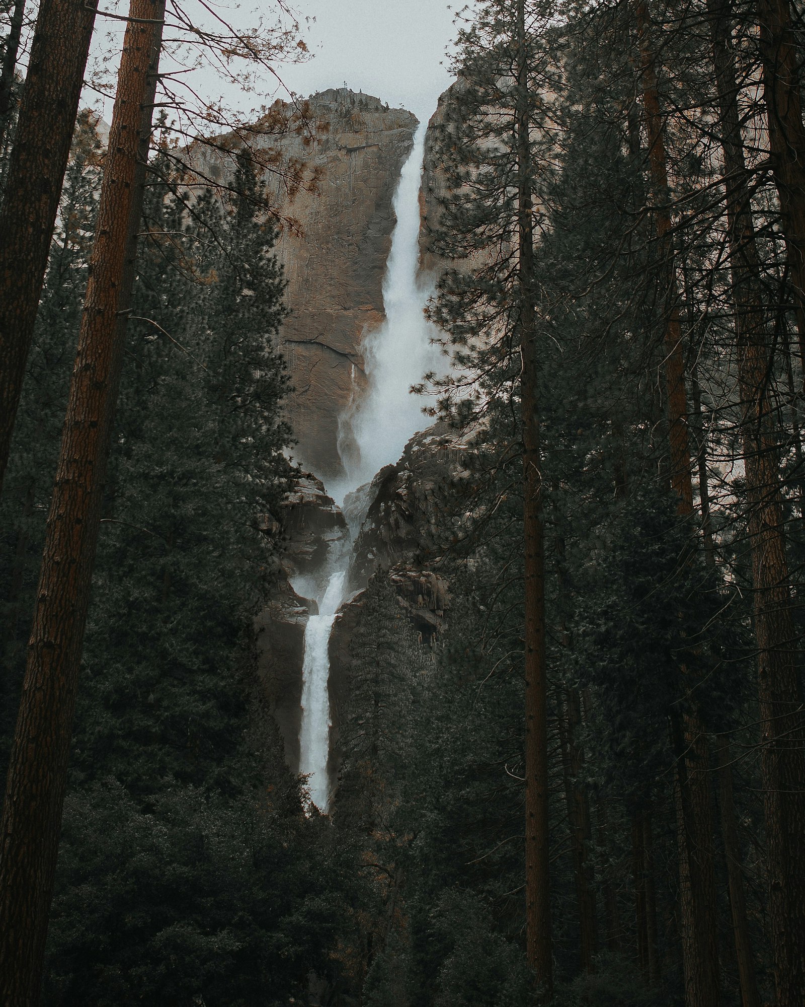 Canon EF 24mm F1.4L II USM sample photo. Falls near forest photography