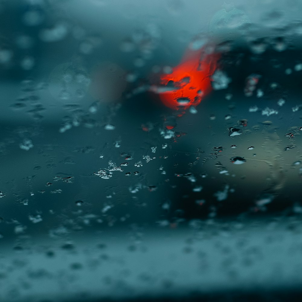 close-up photography of wet glass