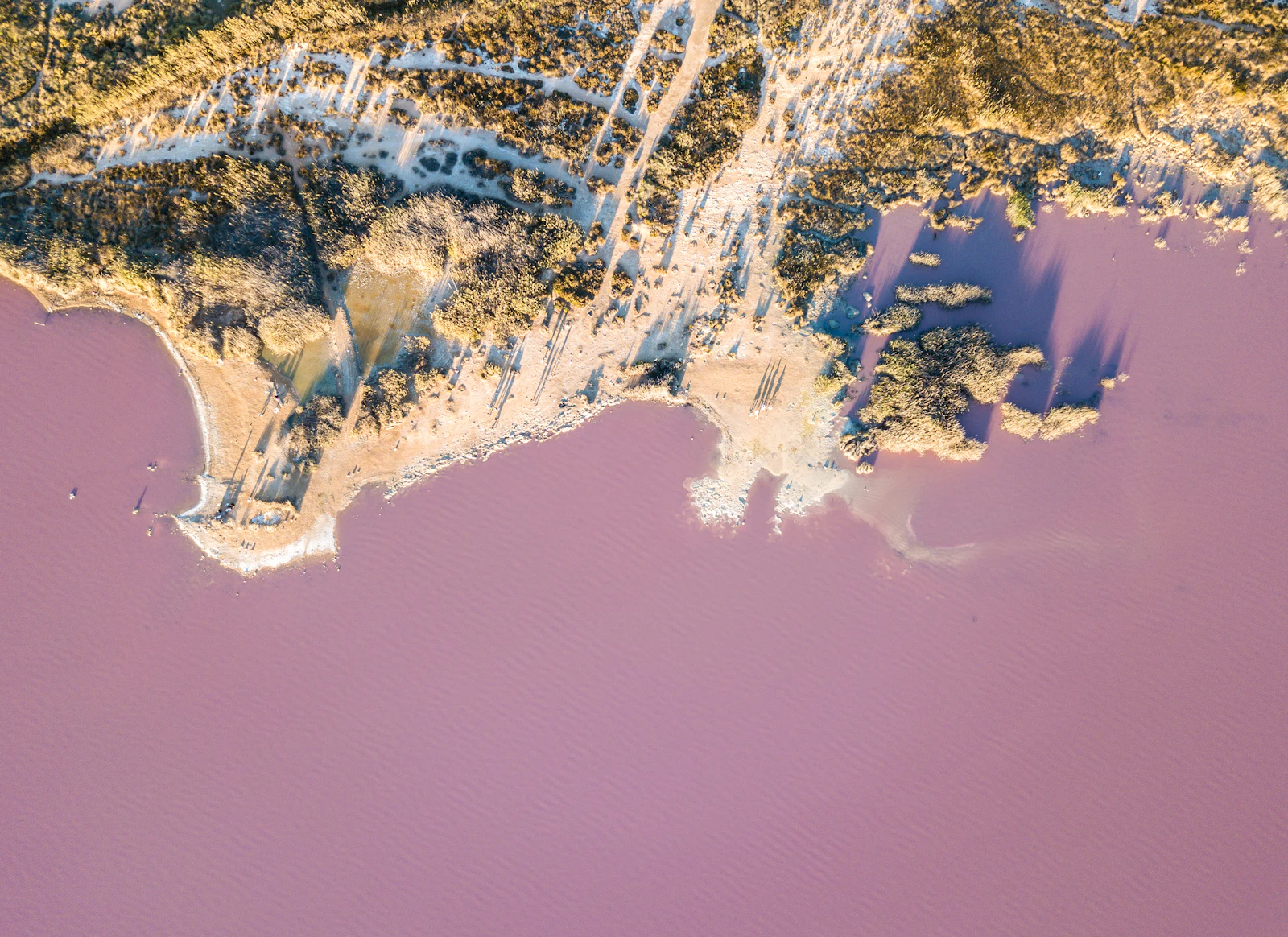 Gouden licht over het roze zoutmeer van Torrevieja