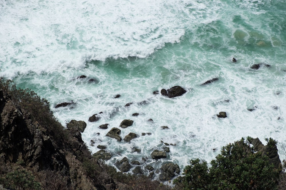 Onde del mare sulle formazioni rocciose nere vicino all'albero della foglia verde