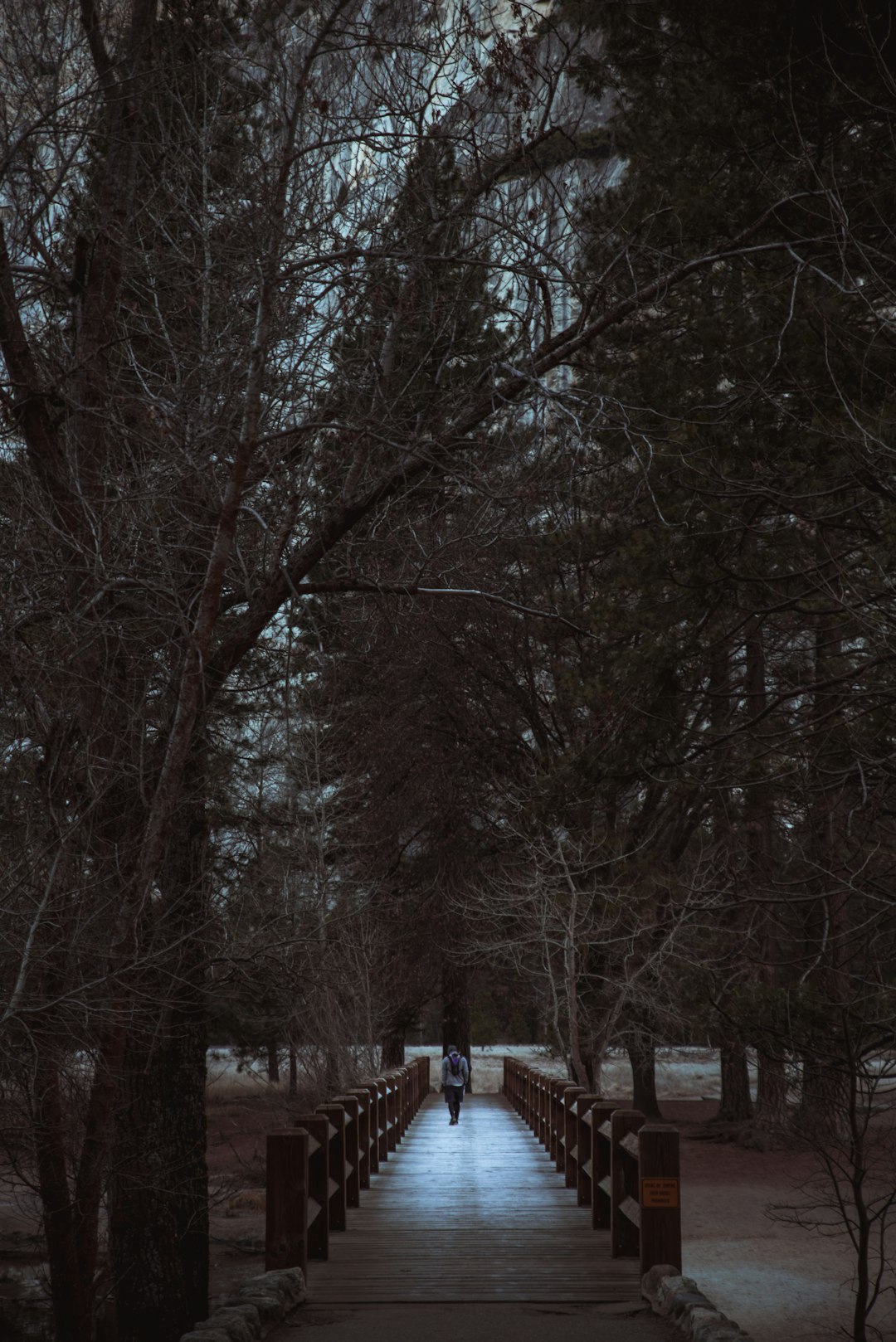 person walking on wooden dock