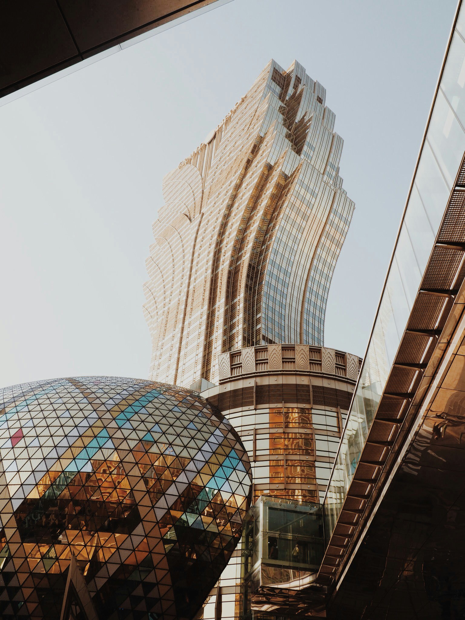 photo-1515740921-36fe823b1ec6?ixid=M3wxMjA3fDB8MXxzZWFyY2h8MTZ8fHRvdG8lMjBtYWNhdXxlbnwwfHx8fDE3MzE4MTMzMDd8MA\u0026ixlib=rb-4.0.3