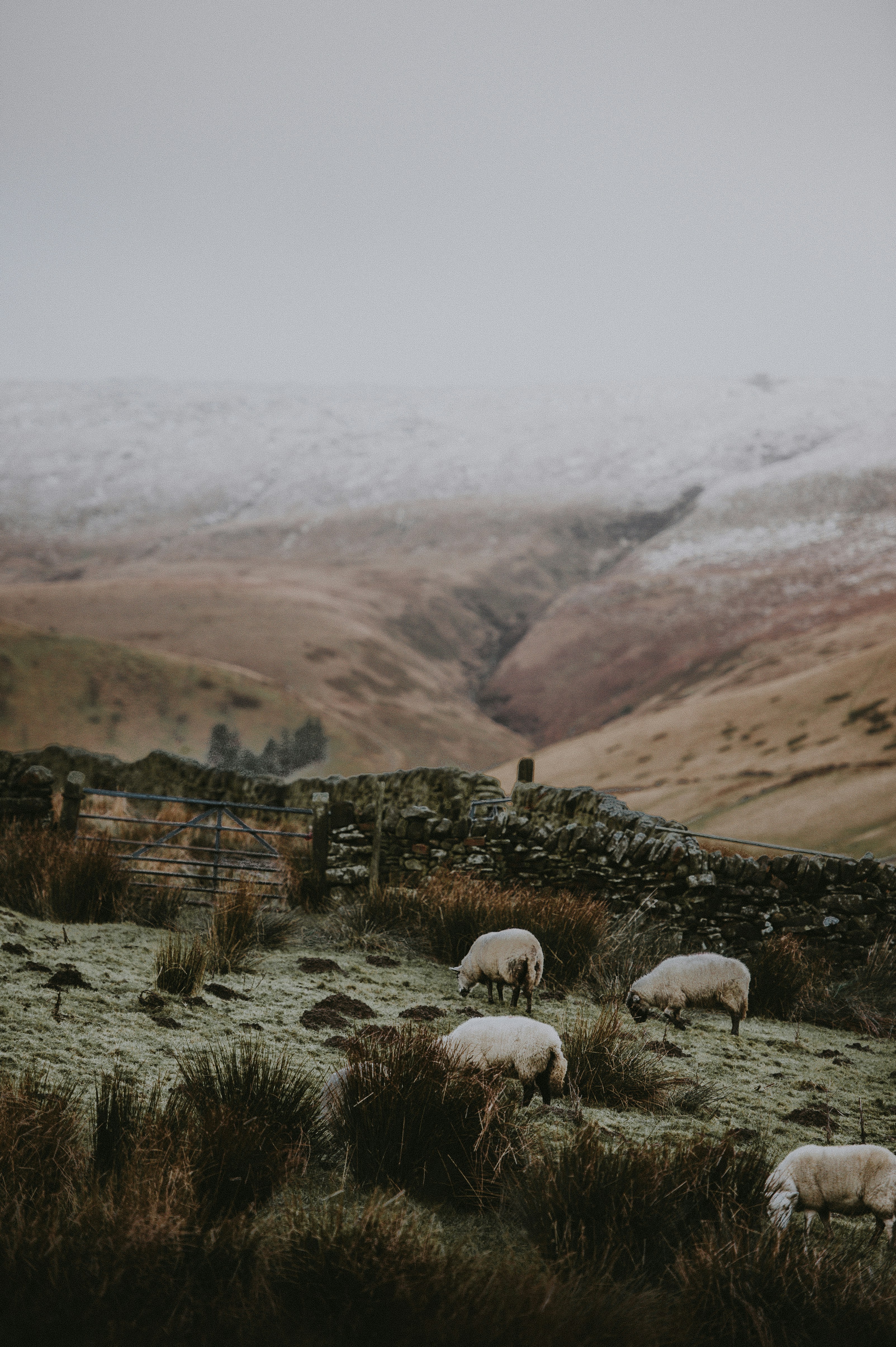 Photo by anniespratt