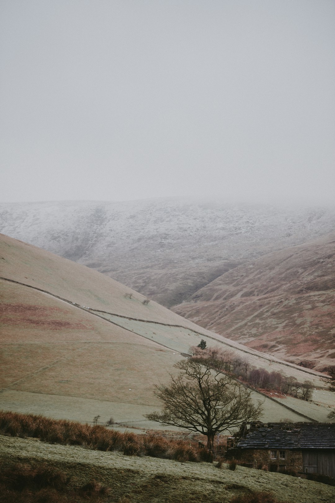 brown mountain surrounded with fogs