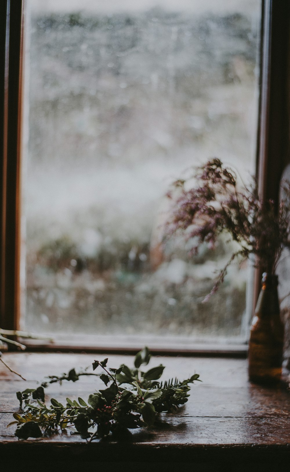 feuilles vertes sur la table