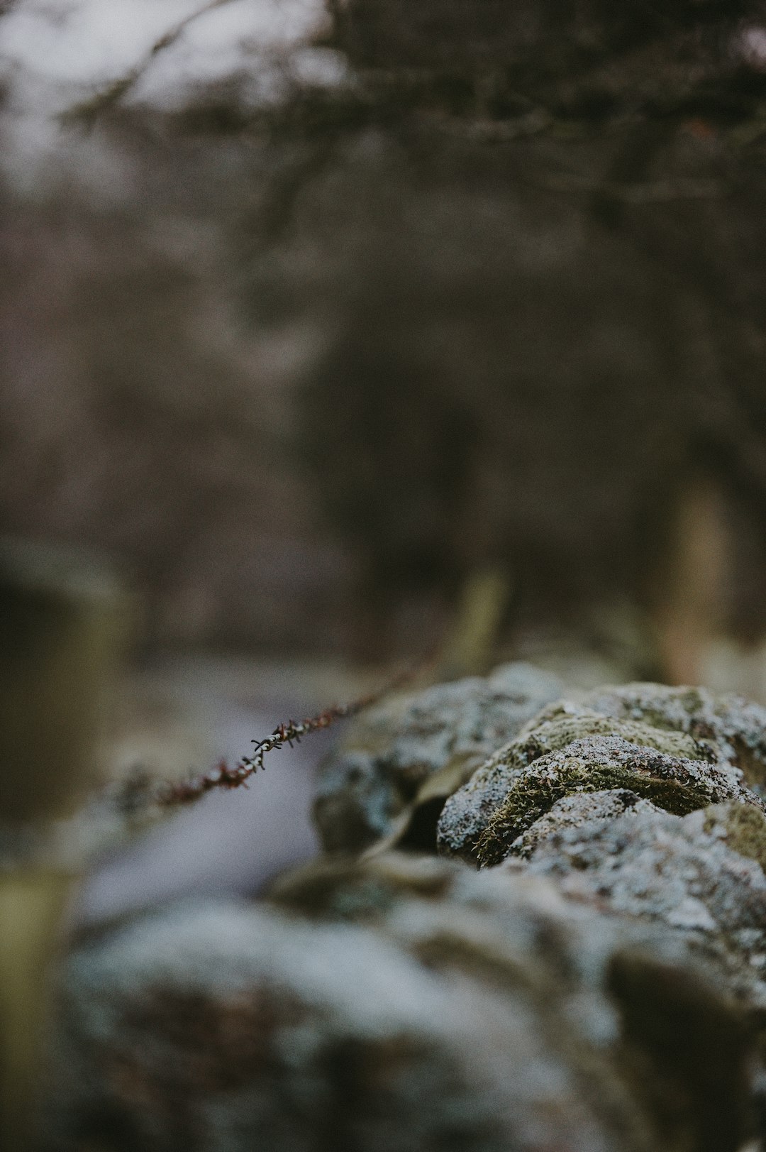 shallow depth of field photography of rock formation