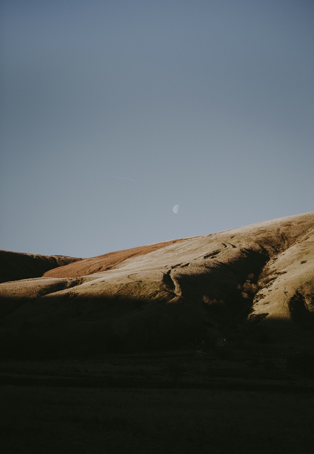 gray hill under white moon