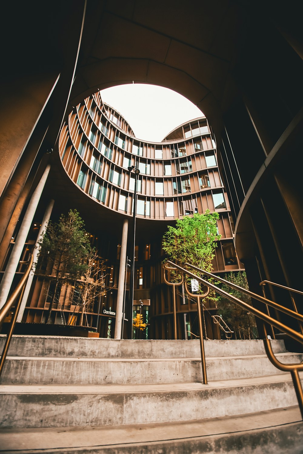 green leafed trees surrounded high-rise building