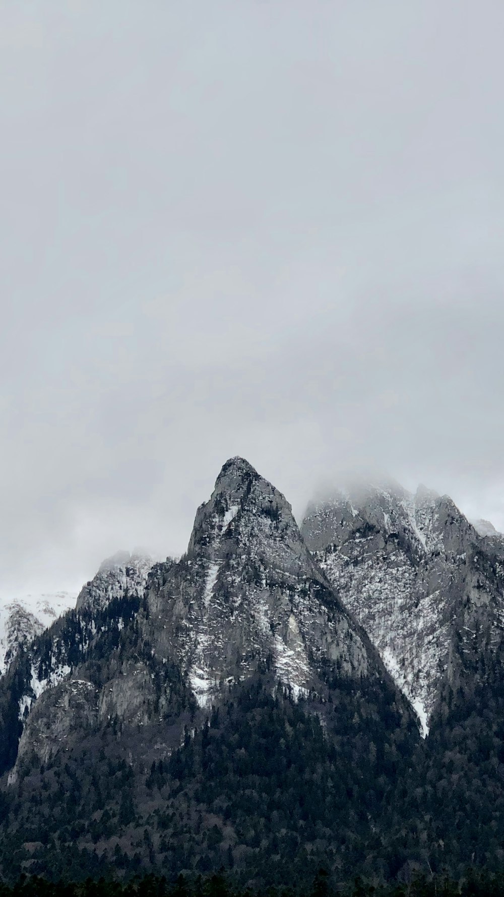 black mountain with trees