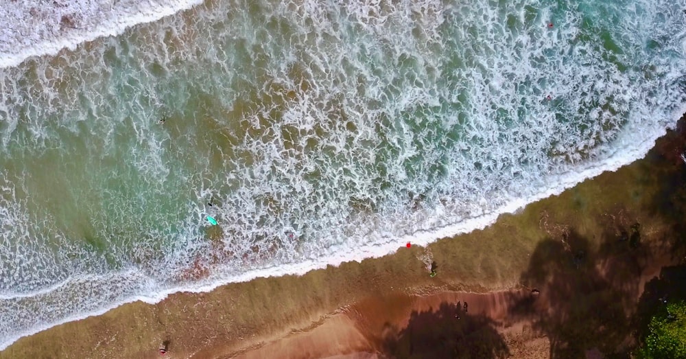 aerial photo of sea shore during daytime