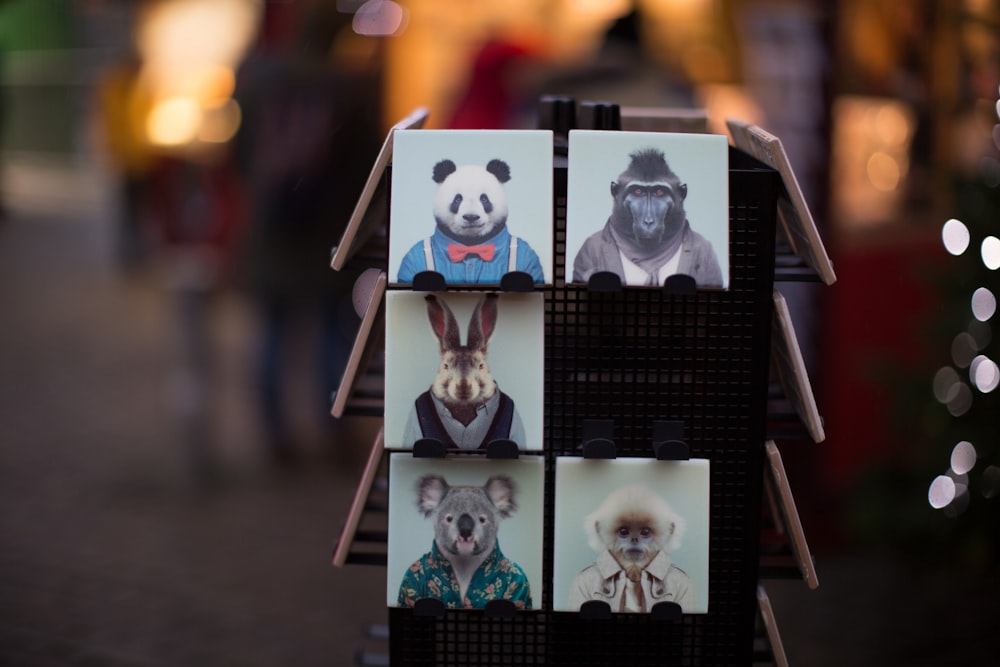 square assorted graphic print panel decors on rack selective focus photography