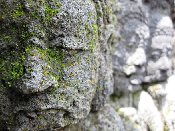 Close-up of ancient Inuit carvings with the backdrop of Greenland’s glacier-capped mountains.