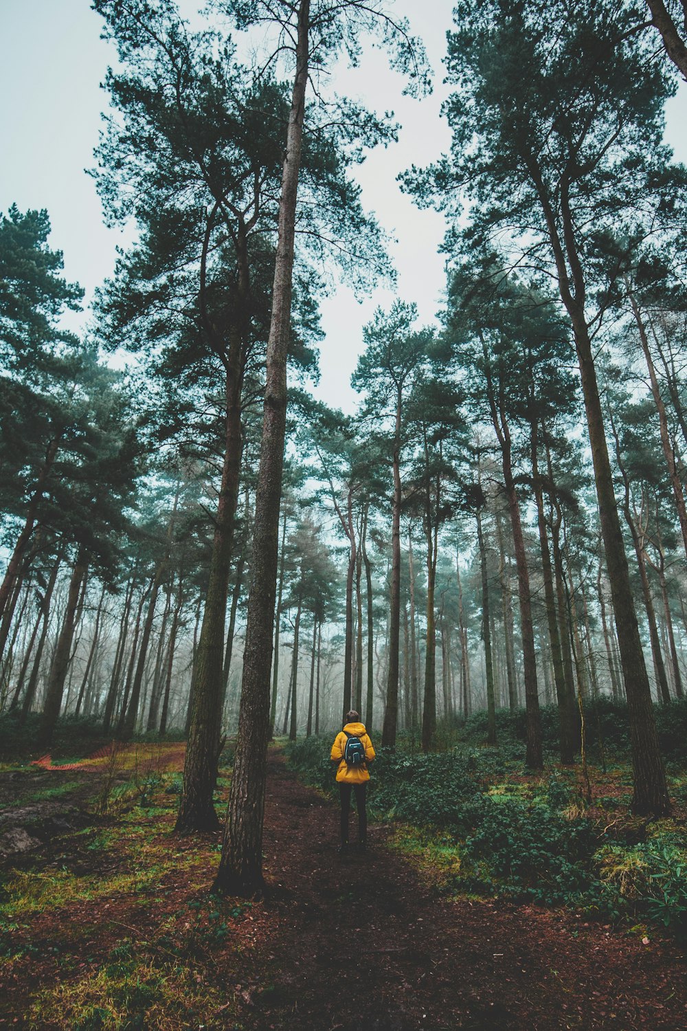 森の中に立つ黄色いジャケットを着た男