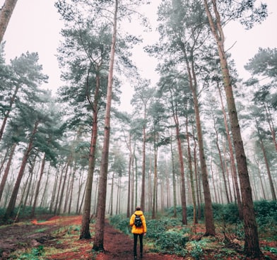 photo of man surrounded by trees