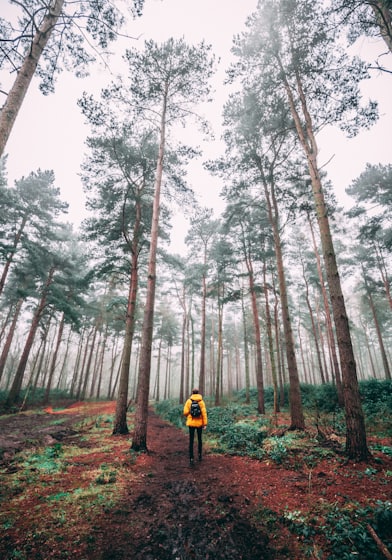 photo of man surrounded by trees
