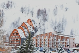 snow covers building on mountain