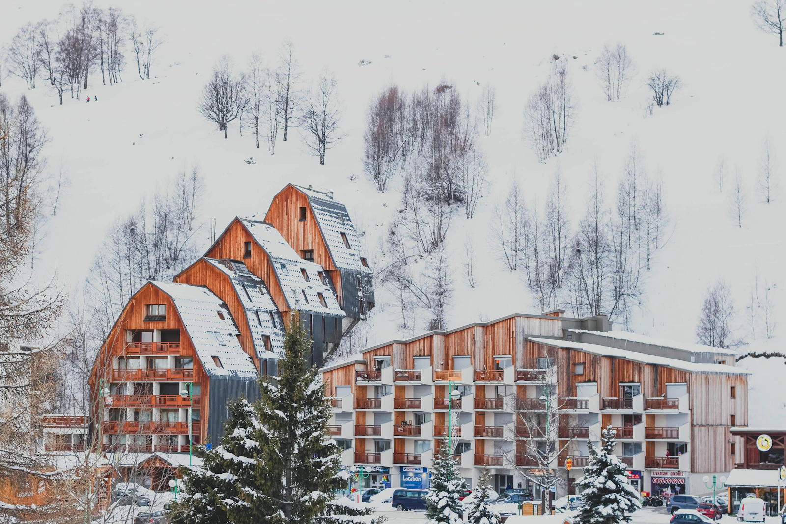 Pine Spring Gulmarg
