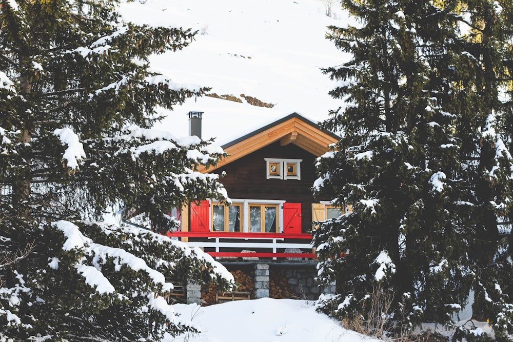 house filled with snow