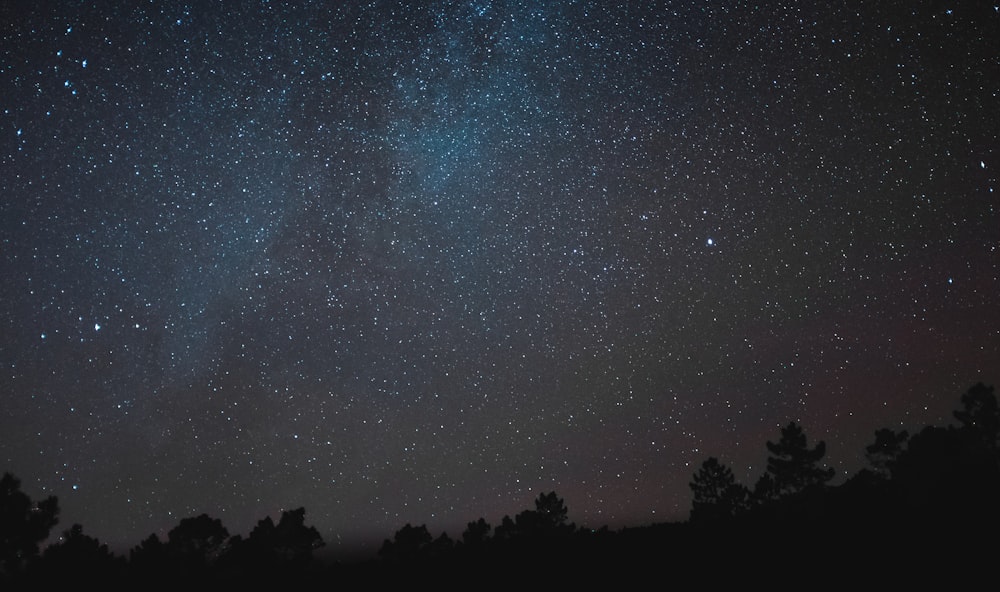 silhouette of forest under starry night