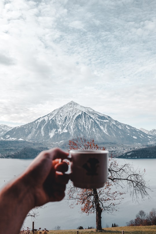 person holding white ceramic mug in Sigriswil Switzerland