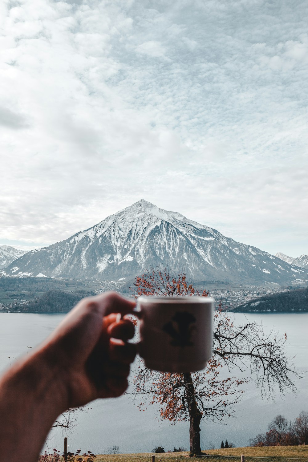 person holding white ceramic mug